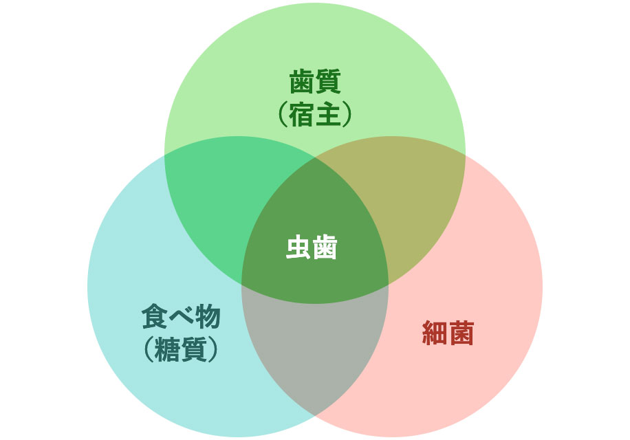 カイスの輪（虫歯ができる3つの要因）